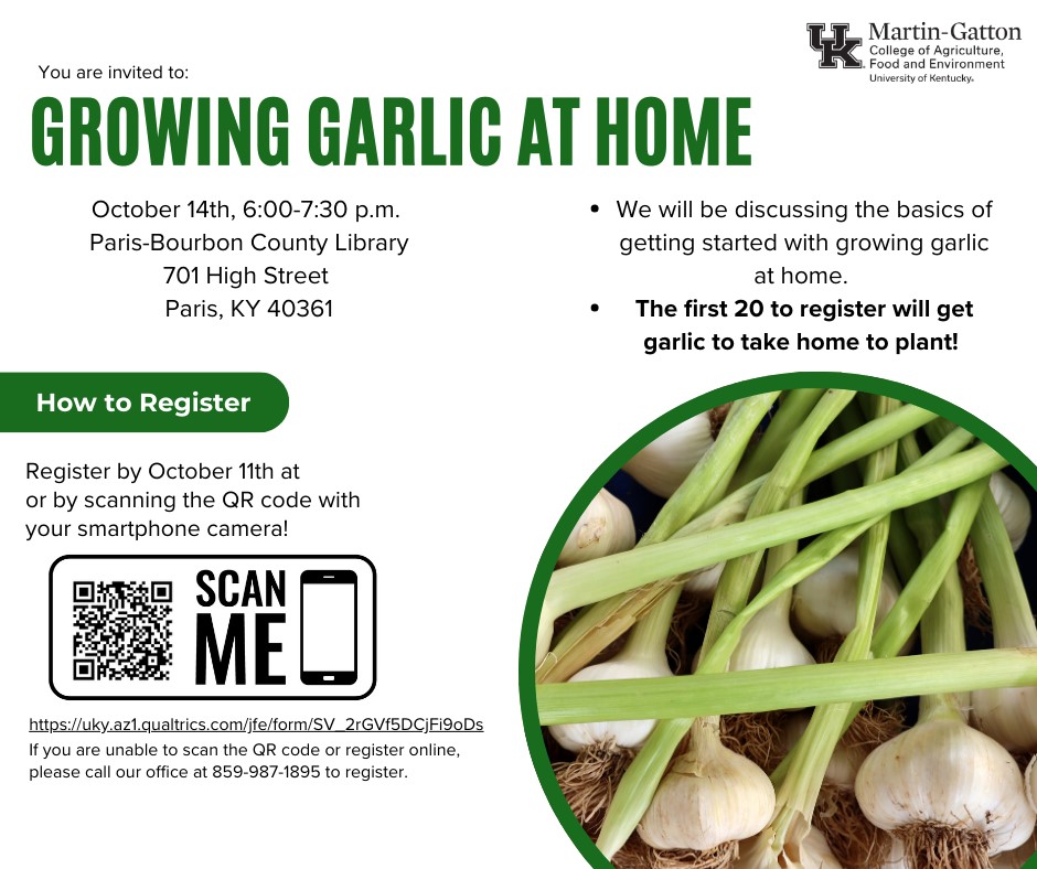 Garlic at Home Flyer