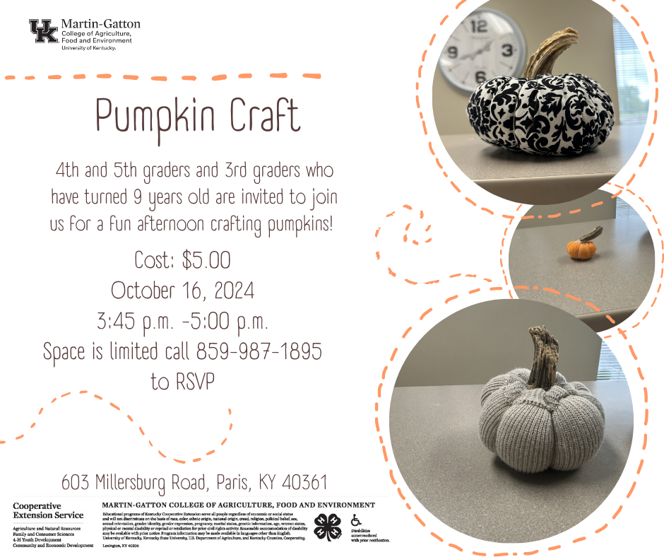 Pumpkin Craft Flyer