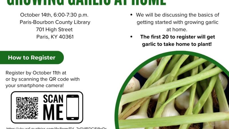 Garlic at Home Flyer