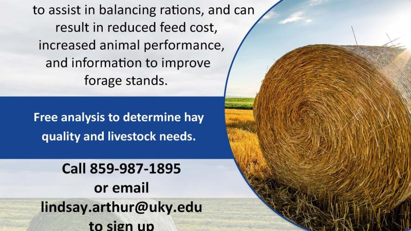 Hay Contest 